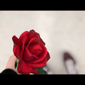 Meet your Posher, Kirstyn